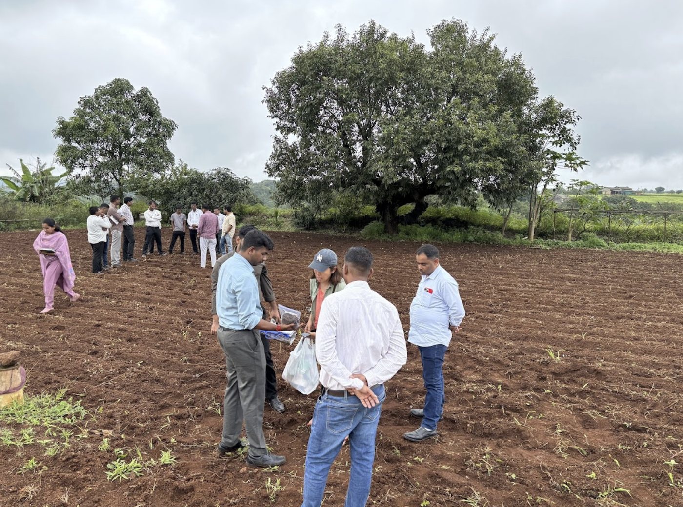 Field survey with local partners